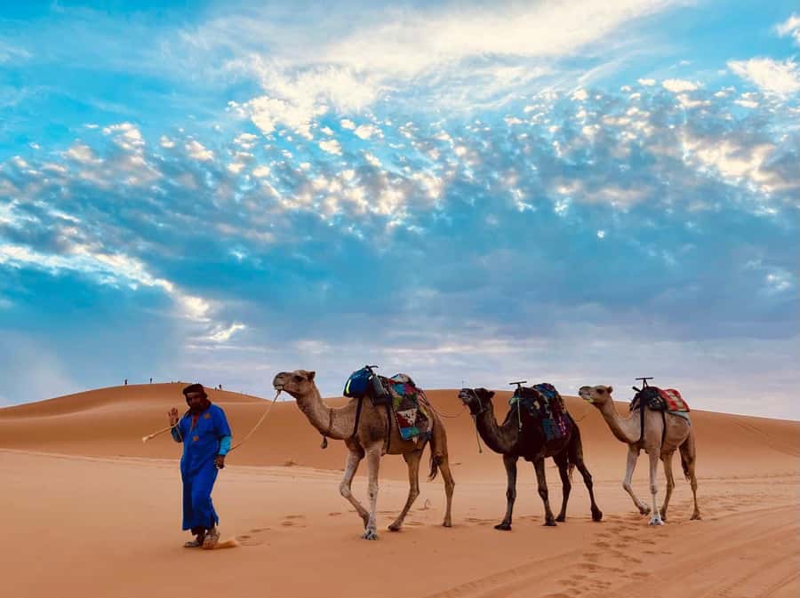 Marrakech: 3-Day Merzouga Desert Tour Camel & Sandboarding - A Berber camp night under the stars