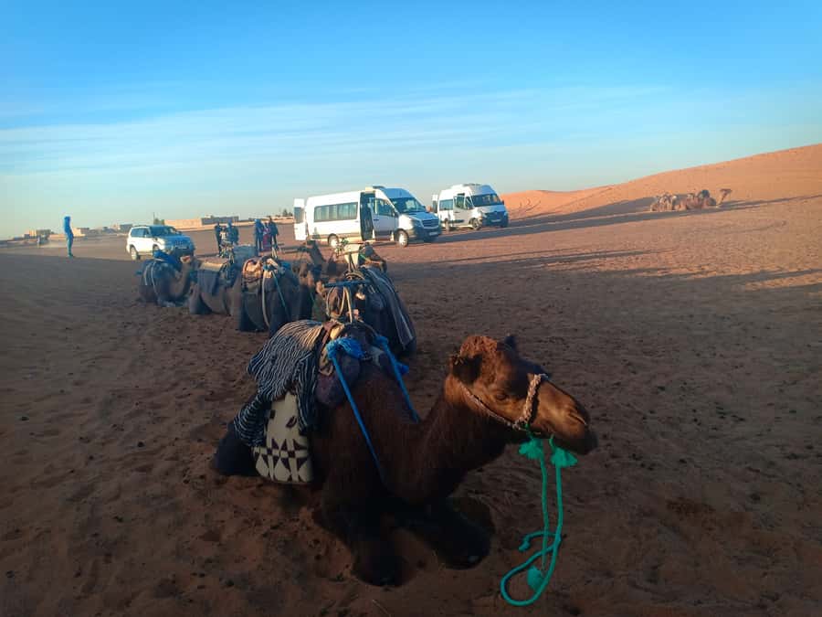 Marrakech: 3-Day Merzouga Sahara Desert Tour with Quad Ride - Transport, group size, and comfort