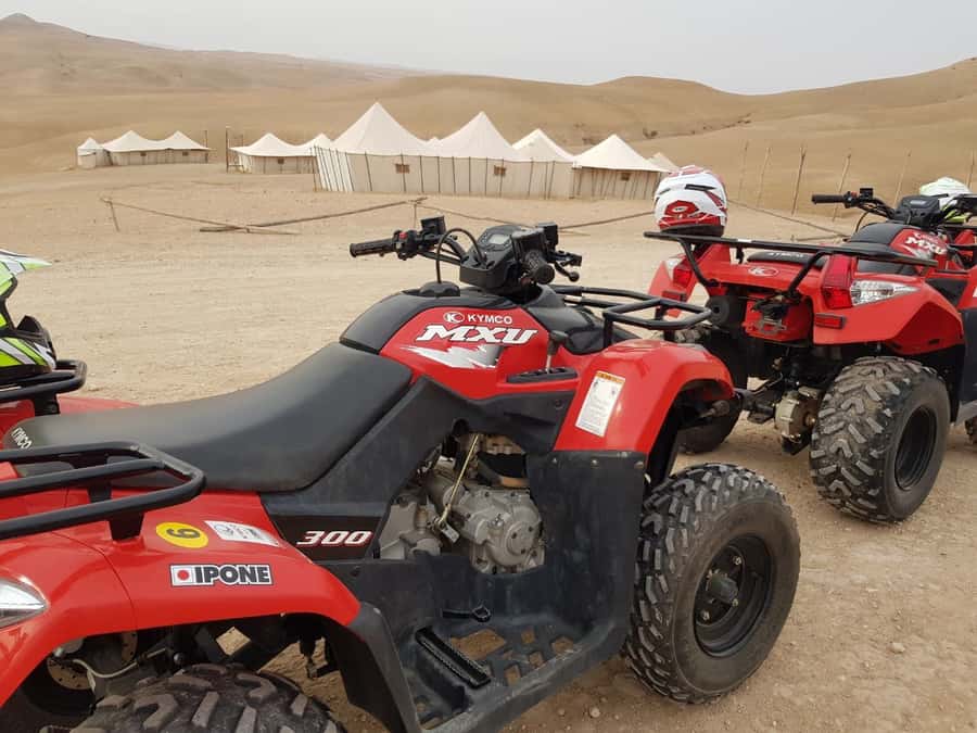 Marrakech: 3-Hour Quad Bike Adventure - Who should book this Marrakech quad tour?