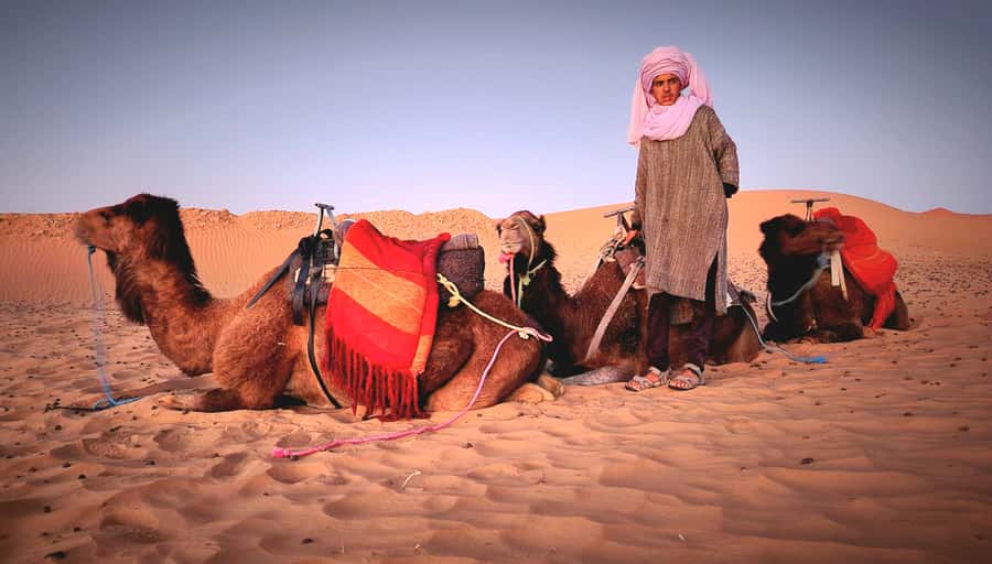 Marrakech: 3Day Luxurious Merzouga Tour w/ Camel&Quad Option - FAQ