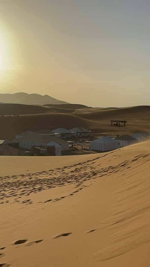 Marrakech: 3Day Luxurious Merzouga Tour w/ Camel&Quad Option - Day three: sunrise, camels, and the long return to Marrakech