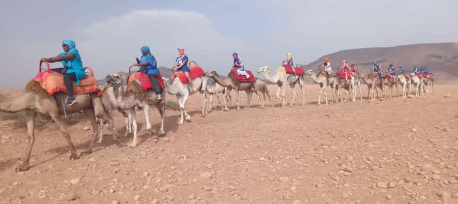 Marrakech Adventure: Agafay Desert Quad, Camel, Lunch - The swimming pool changes the pace