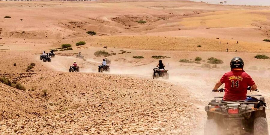 Marrakech Adventure: Agafay Desert Quad, Camel, Lunch - Guides can make or break the day