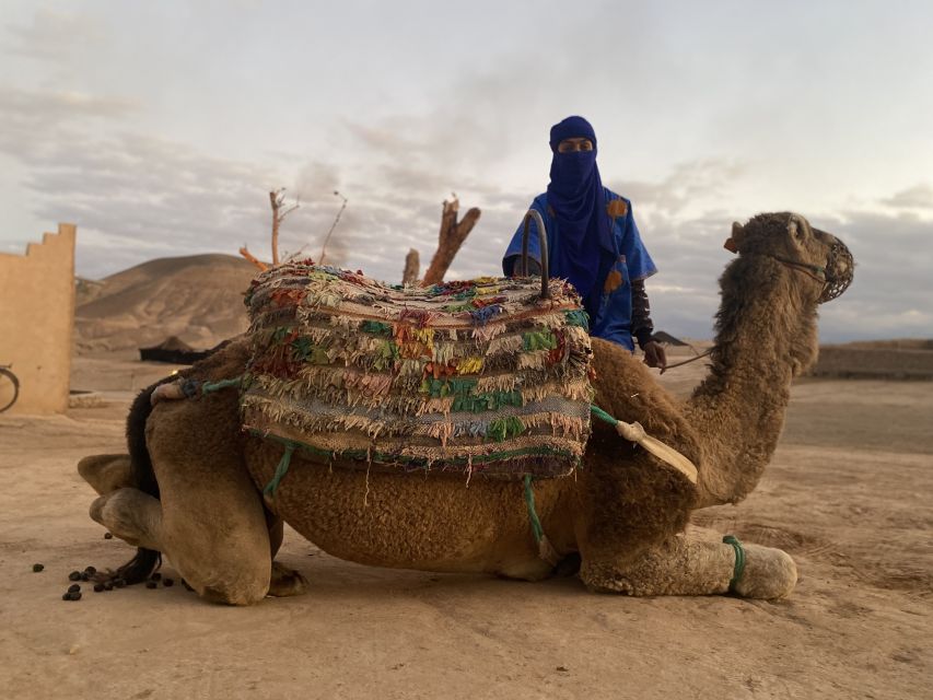 Marrakech: Agafay Desert Buggy Tour with Transfer - Atlas views and the value of the photo stop