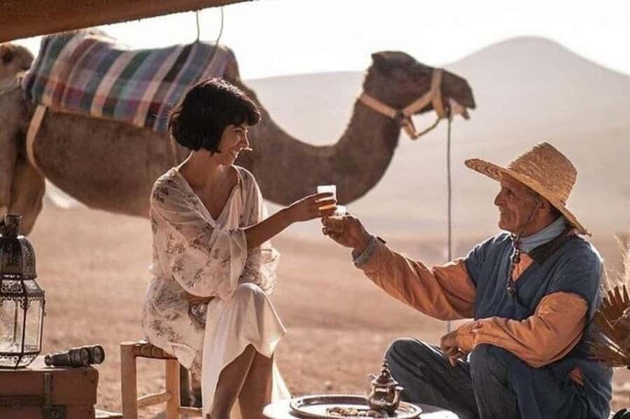 Marrakech: Agafay Desert Camel, Quad Bike & Dinner Show - Why this Agafay evening works so well