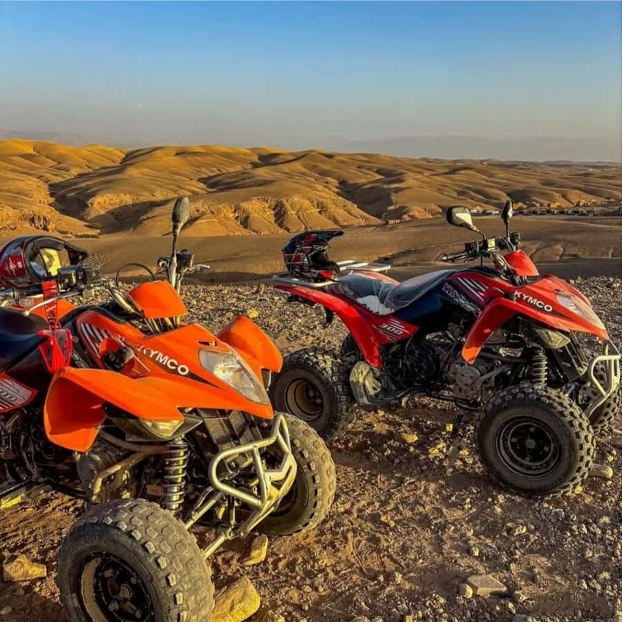 Marrakech: Agafay Desert Camel, Quad Bike & Dinner Show - Is $27 a good value?