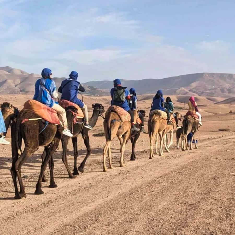 Marrakech: Agafay Desert Camel Ride & Quad with Dinner Show - Quad biking across Agafay’s open ground