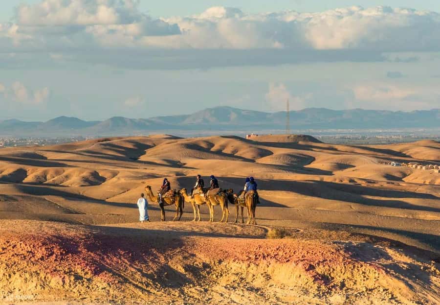 Marrakech: Agafay Desert Dinner Show with Quad Bike & Camel - Berber music, dancing, and the fire show