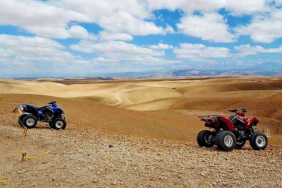 Marrakech: Agafay Desert Dinner Show with Quad Bike & Camel - Is $22 good value?