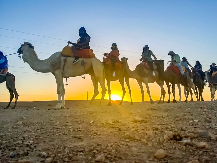 Marrakech: Agafay Desert Escape with Quad or Camel Ride - The pool and camp pause