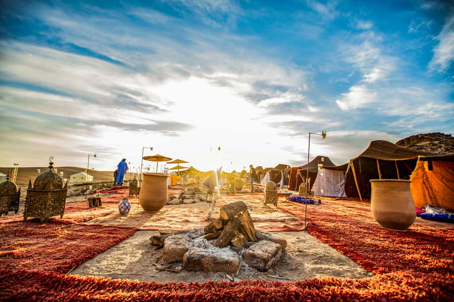 Marrakech: Agafay Desert Escape with Quad or Camel Ride - How much value do you get for $29?