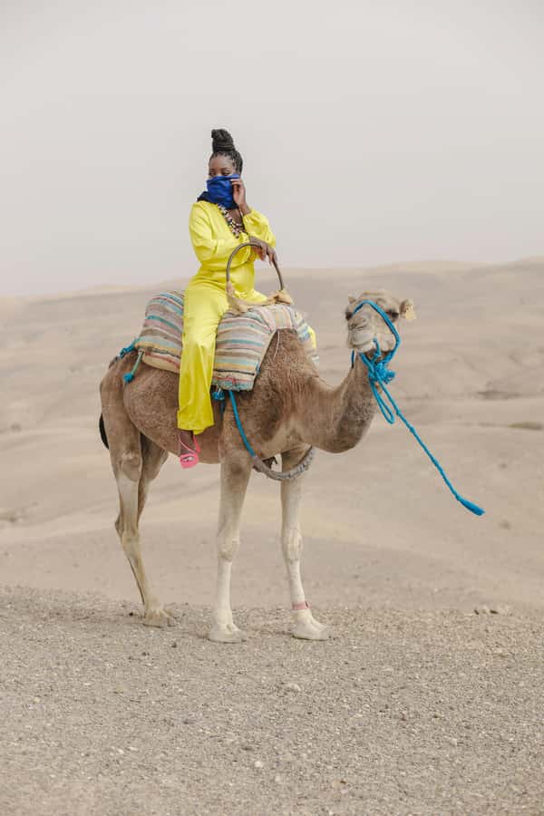 Marrakech: Agafay Desert Quad Bike with Camels & Dinner Show - Dinner in a Bedouin-style tent