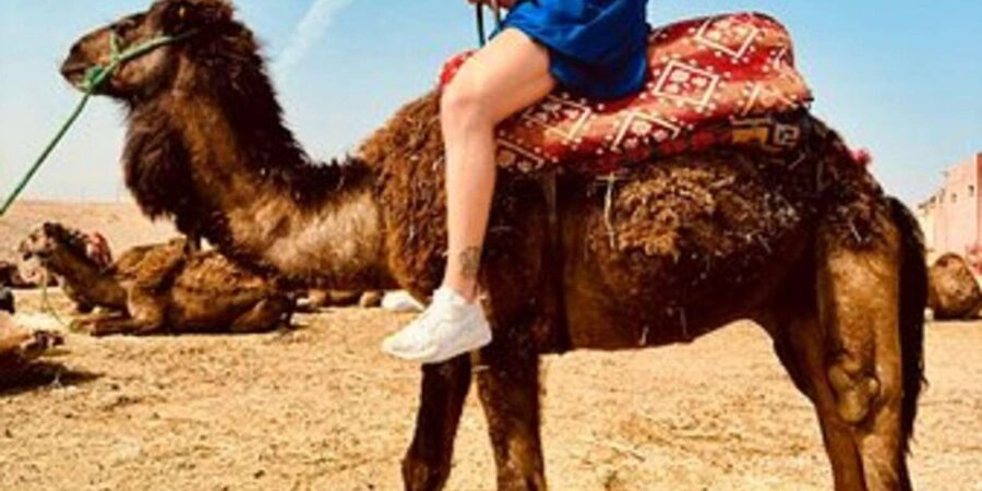 Marrakech: Agafay Desert Quad Biking with Dinner & Show - Optional camel riding and extra stops