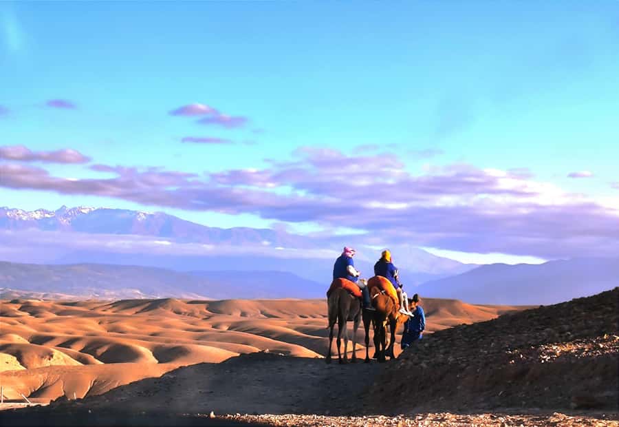Marrakech: Agafay Desert Quad, Camel or Pool Day with Lunch - Pool time gives the day a welcome pause