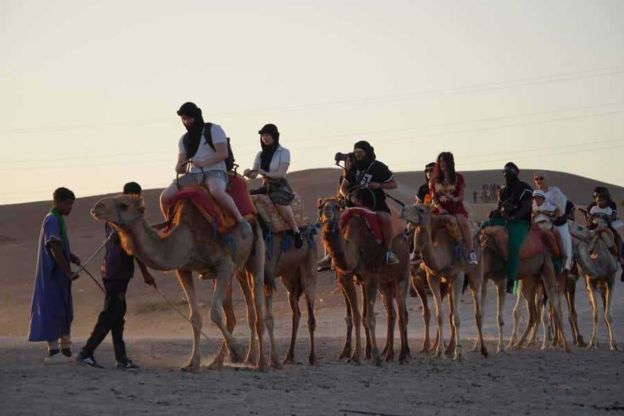Marrakech: Agafay Desert Quad, Camel or Pool Day with Lunch - Quad biking brings the main burst of action