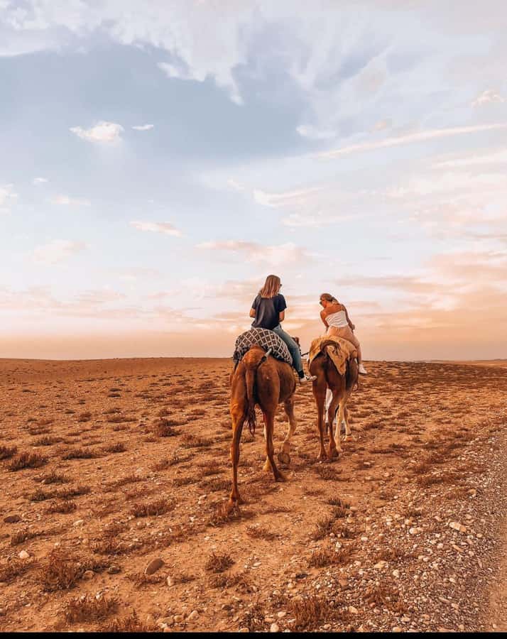 Marrakech: Agafay Desert Quad, Camel Ride & Dinner Show - Sunset, camp dinner, and Moroccan flavors