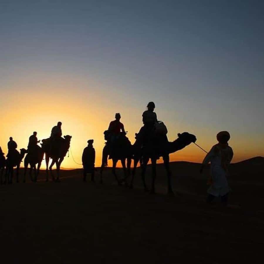 Marrakech: Agafay Desert Quad & Camel Rides Whit Dinner Show - Quad biking across the Agafay Desert