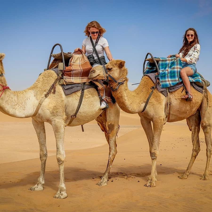 Marrakech: Agafay Desert Quad & Camel Rides Whit Dinner Show - Sunset over the Agafay Desert