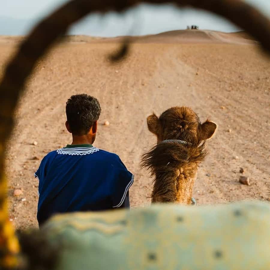 Marrakech: Agafay Desert Quad & Camel Rides Whit Dinner Show - Moroccan dinner under a Berber tent