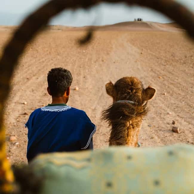 Marrakech: Agafay Desert Quad & Camel Rides Whit Dinner Show - What the guides add to the day