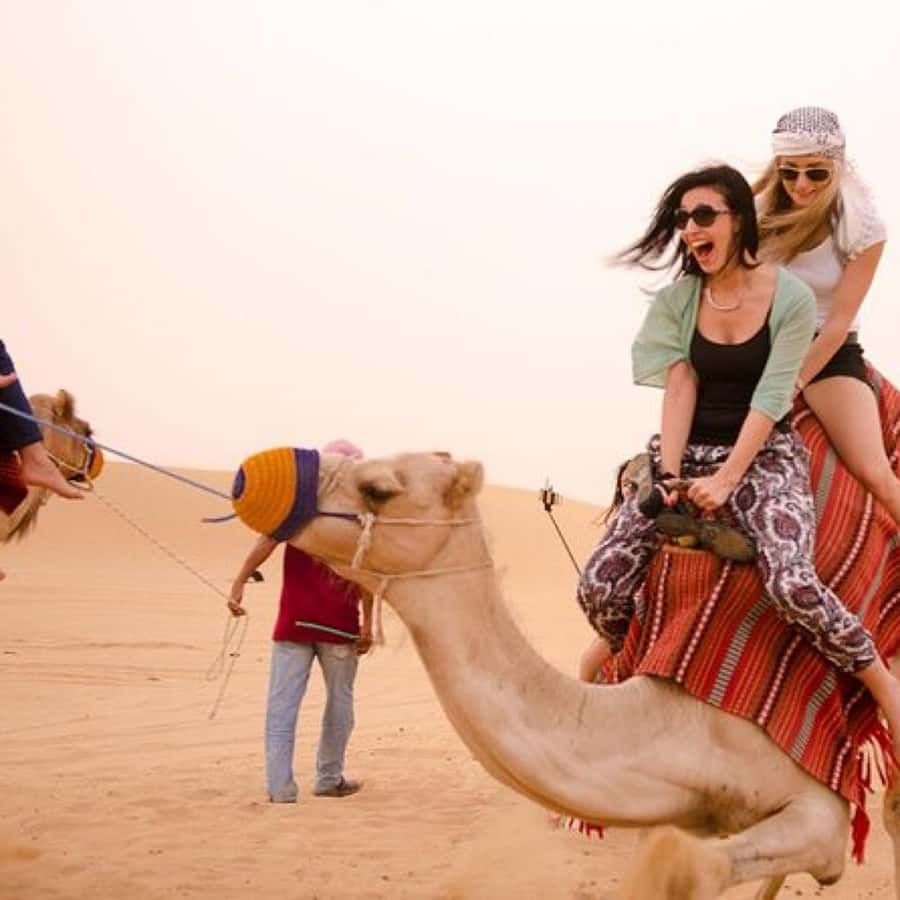 Marrakech: Agafay Desert Quad & Camel Rides Whit Dinner Show - A thoughtful stop at the argan oil cooperative