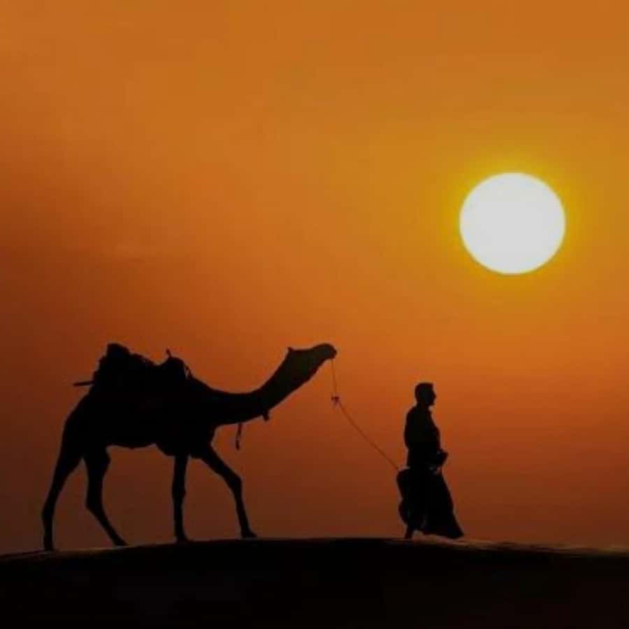 Marrakech: Agafay Desert Quad & Camel Rides with Dinner Show - The five details that matter most