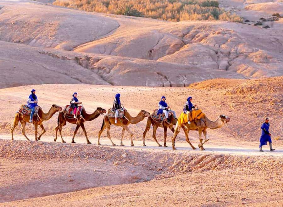 Marrakech: Agafay Desert Quad & Camel Rides with Dinner Show - Leaving Marrakech for Agafay’s rocky desert