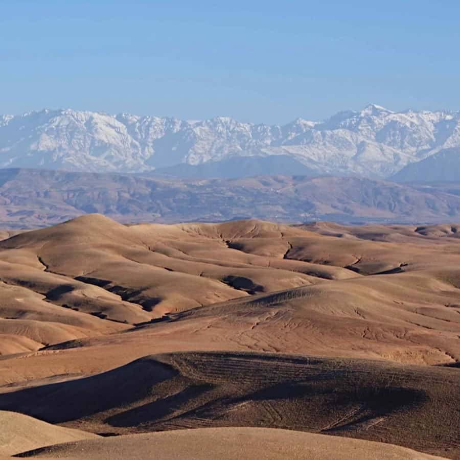 Marrakech: Agafay Desert Quad & Camel Rides with Dinner Show - Quad biking across Agafay for 40 minutes