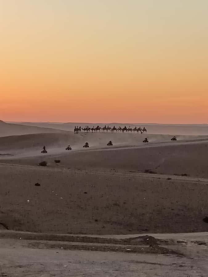 Marrakech: Agafay Desert Quad & Camel Rides with Dinner Show - The 15-minute camel ride is brief but atmospheric