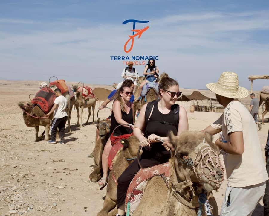 Marrakech: Agafay Dinner Show with Quad/Camel Ride and Pool - Dinner Under the Stars