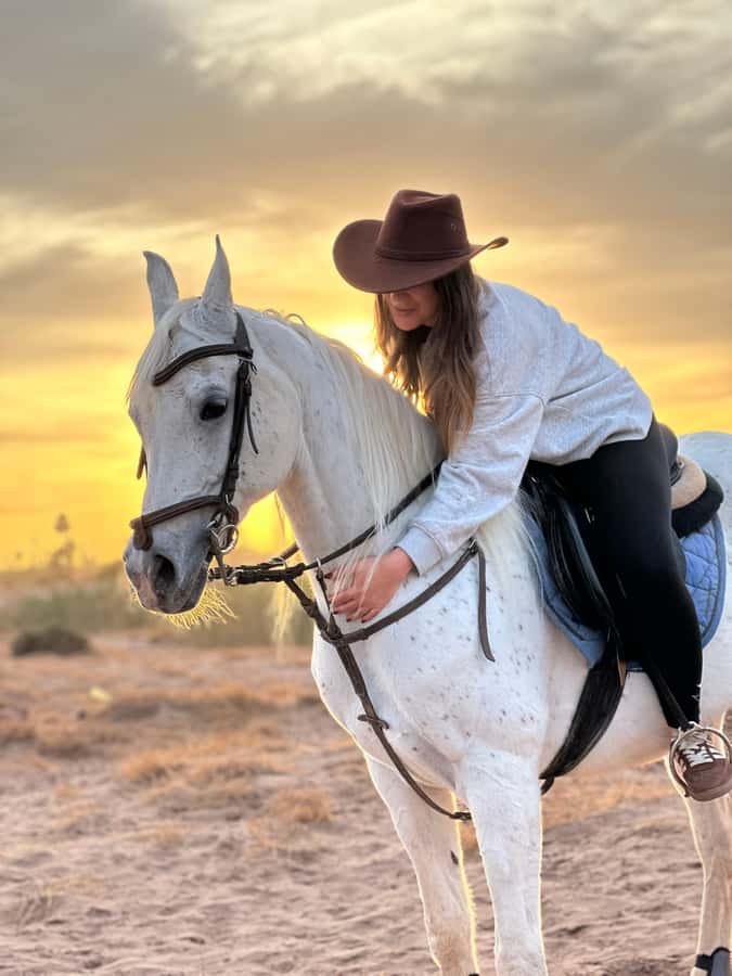 Marrakech: Buggy Adventure & Horse Riding in the Palm Grove - Changing from reins to a shared buggy