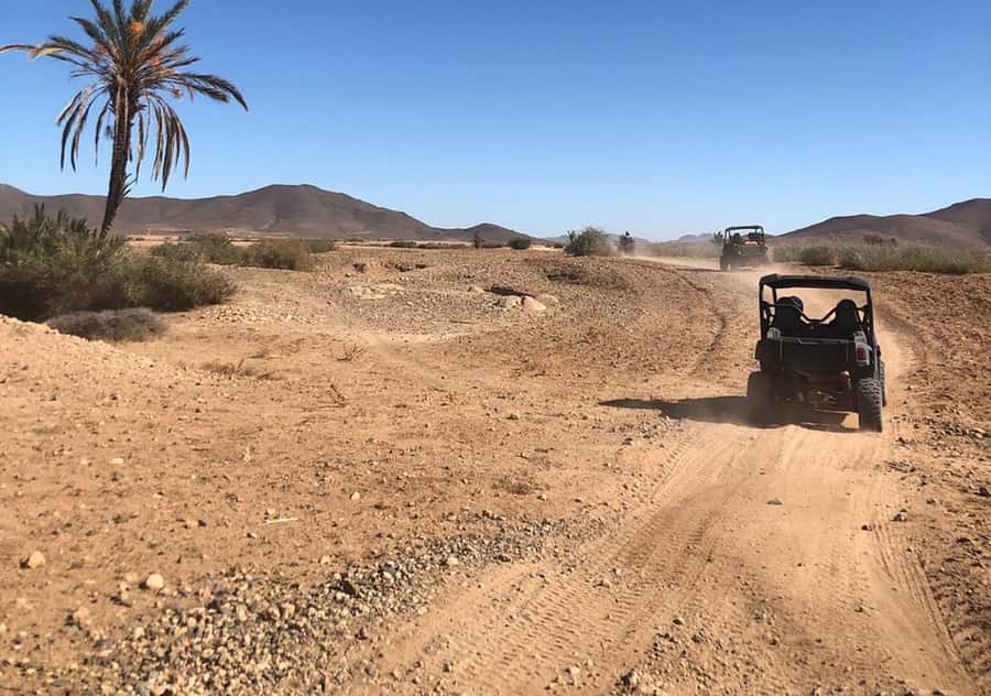 Marrakech: Buggy Experience at Palmeraie with Hotel Pickup - What the Palmeraie buggy ride is really like