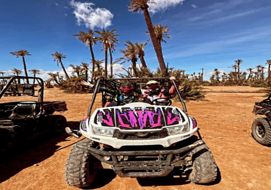 Marrakech: Buggy Experience at Palmeraie with Hotel Pickup - Who will enjoy this most