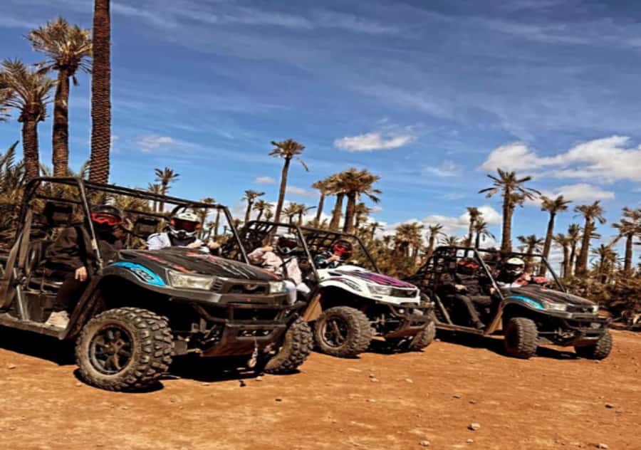 Marrakech: Buggy Experience at Palmeraie with Hotel Pickup - Simple tips for a smoother ride