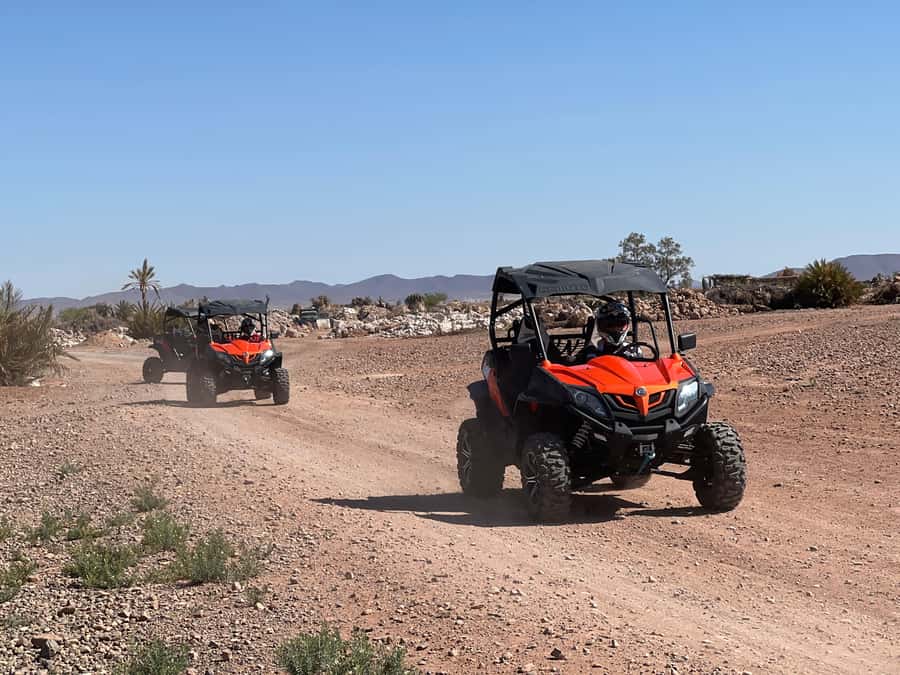 Marrakech Buggy Palmerie and Desert - Two hours through the Palmeraie and desert tracks