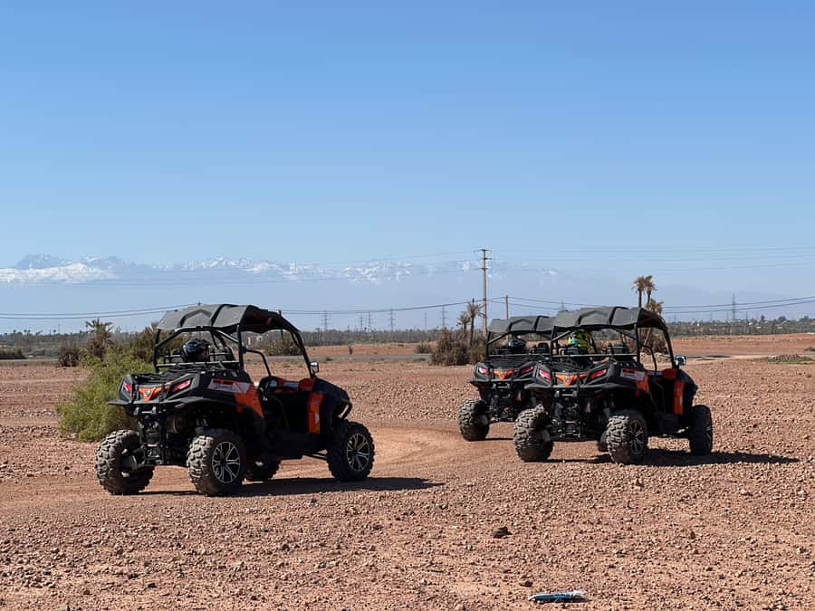 Marrakech Buggy Palmerie and Desert - Photo stops with Atlas Mountain views