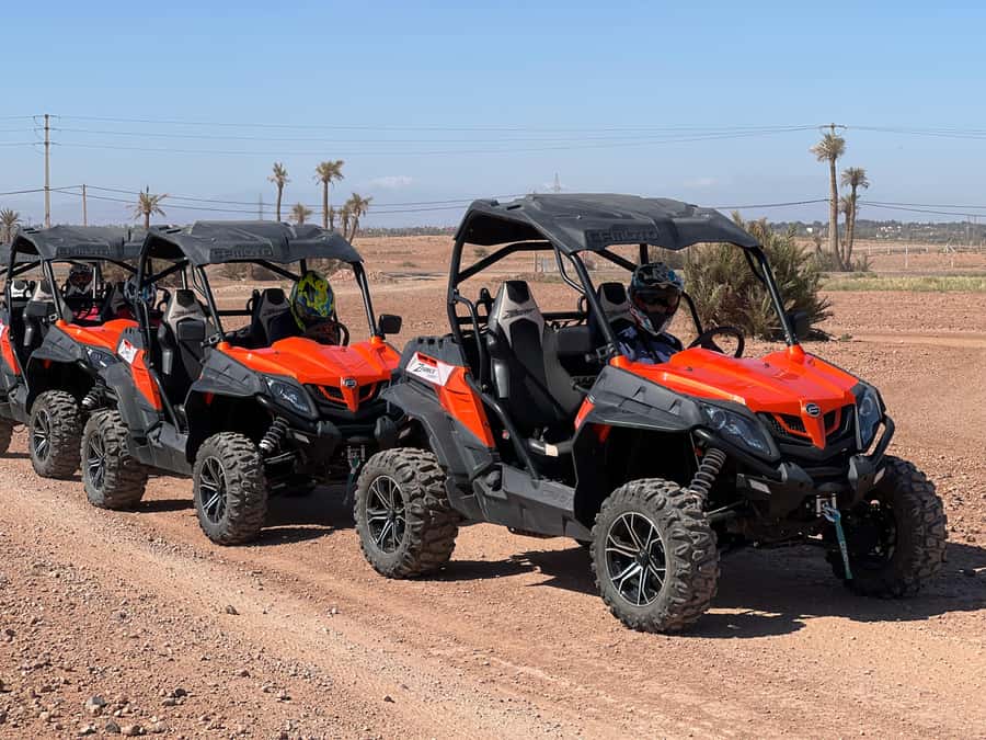 Marrakech Buggy Palmerie and Desert - Who will enjoy this ride most