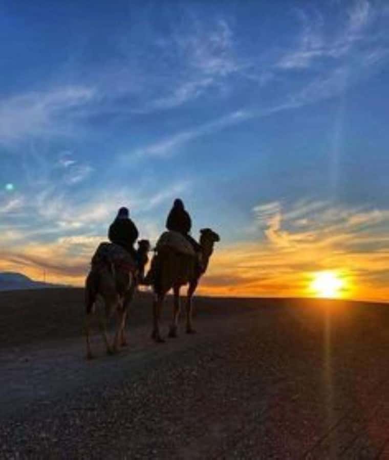 Marrakech: Camel & Quad Bike Tour with Sunset, Dinner & Show - Who should book this experience?