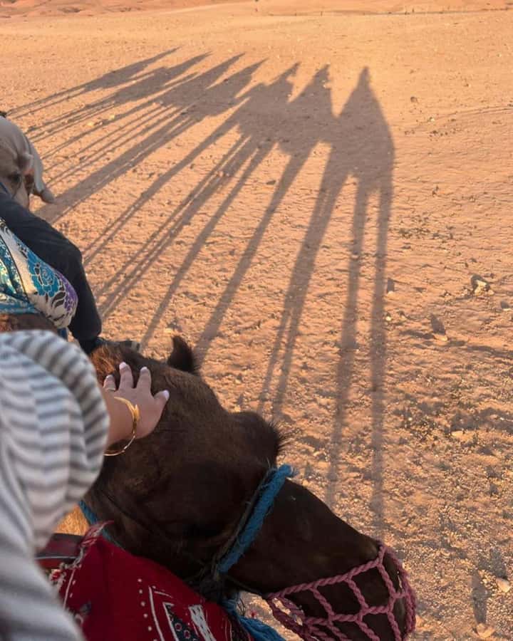 Marrakech: Camel & Quad Bike Tour with Sunset, Dinner & Show - Why this $22 Agafay outing offers strong value