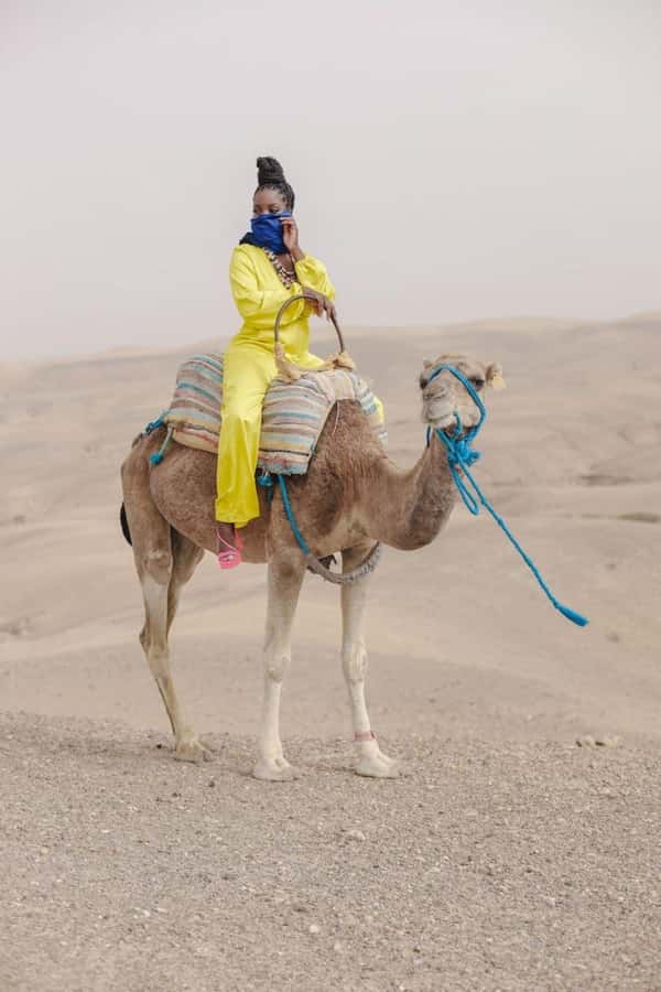 Marrakech: Camel & Quad Bike Tour with Sunset, Dinner & Show - The argan oil cooperative adds a useful cultural stop