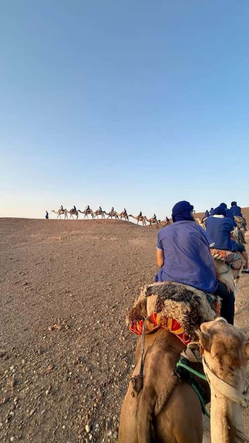 Marrakech: Camel & Quad Bike Tour with Sunset, Dinner & Show - A slower camel ride as the sun drops