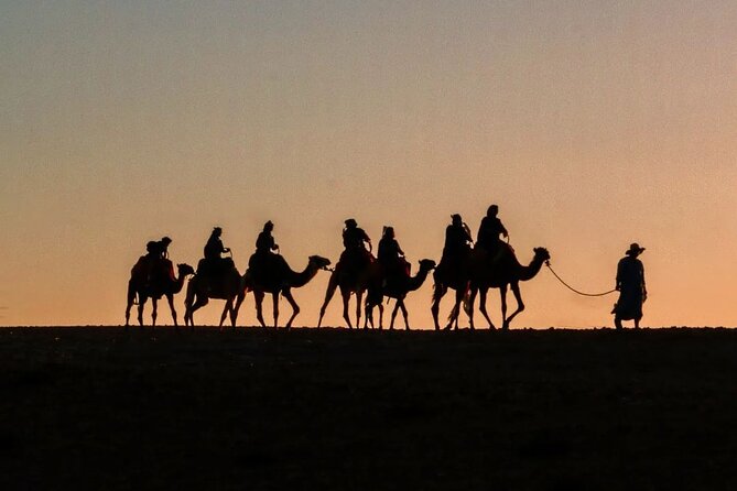 Marrakech: Camels & Quads on Sunset and Luxury Dinner with Show - Key points to know before you go
