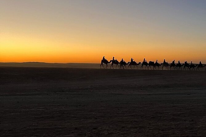 Marrakech: Camels & Quads on Sunset and Luxury Dinner with Show - What the $28.97 price really covers