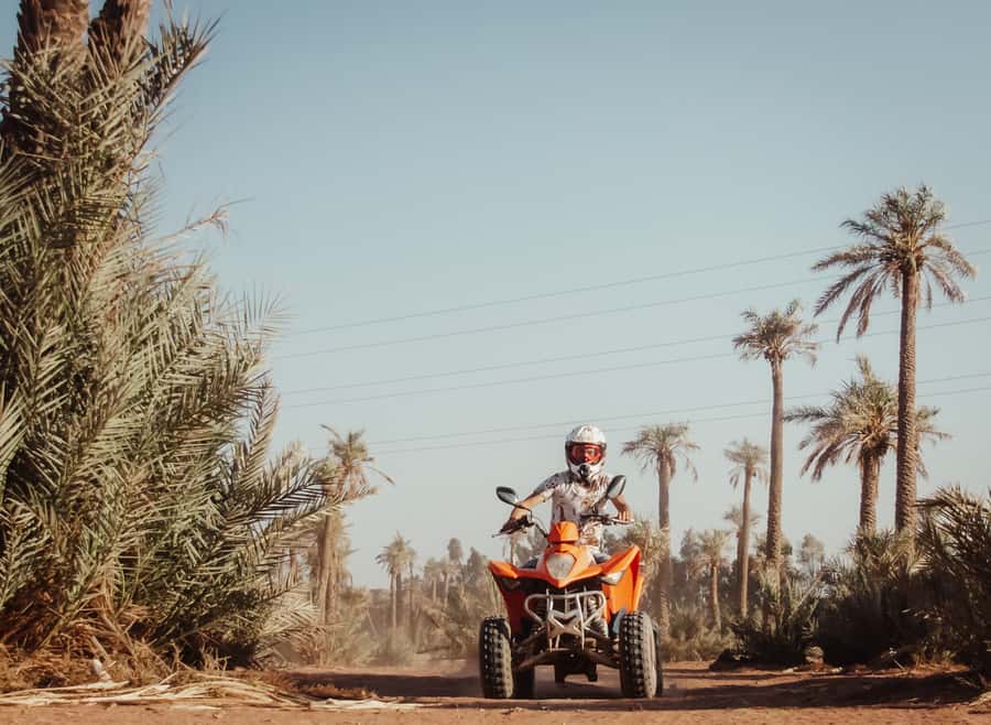 Marrakech: Desert and Palm Grove Quad Tour with Tea - Who should choose this tour?