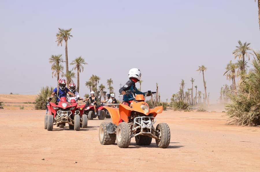 Marrakech: Desert and Palm Grove Sunset Quad Tour with Tea - The route through palms, villages, and rocky desert