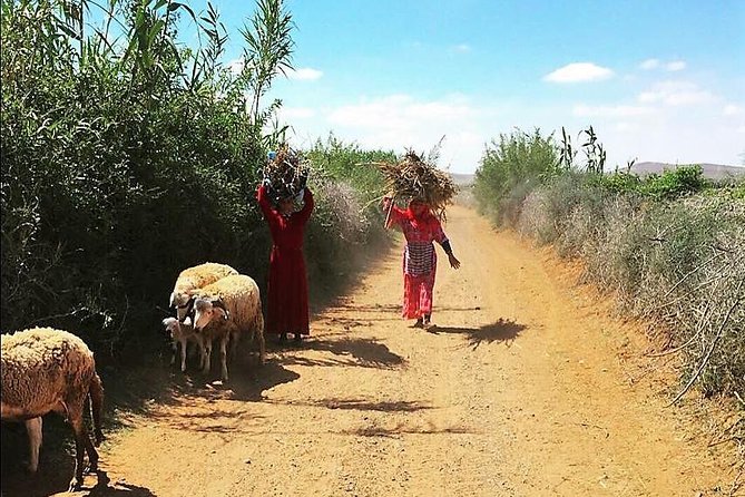 Marrakech Desert Buggy Tour Including Berber Tea Break and transfer - The Berber Tea Break