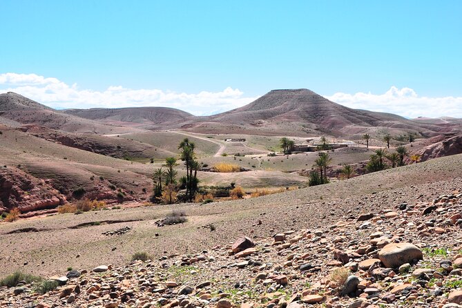 Marrakech Desert Buggy Tour Including Berber Tea Break and transfer - Photo Stops, Guides, and the Group Size