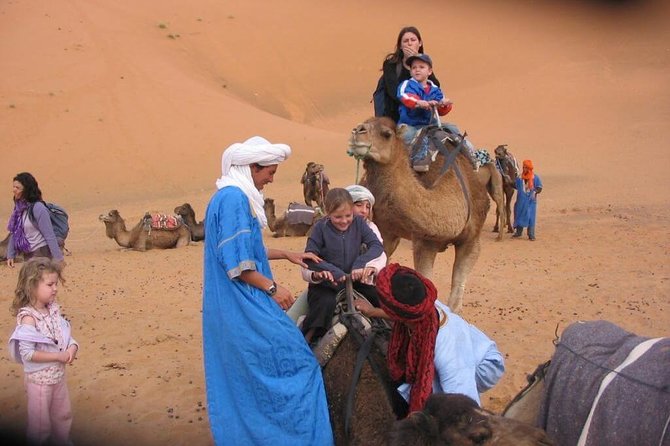 Marrakech Desert: Camel Ride, Quad Biking & Dinner Show Options - What this Marrakech desert outing really is