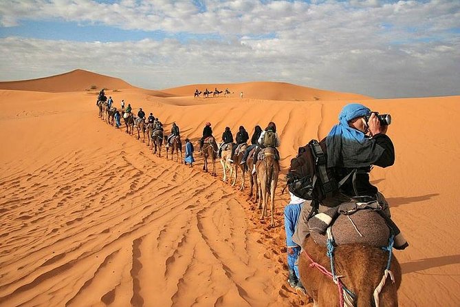 Marrakech Desert: Camel Ride, Quad Biking & Dinner Show Options - Camel riding: short, photogenic, and not a trek