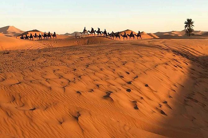 Marrakech Desert: Camel Ride, Quad Biking & Dinner Show Options - What the price of $52.14 gets you